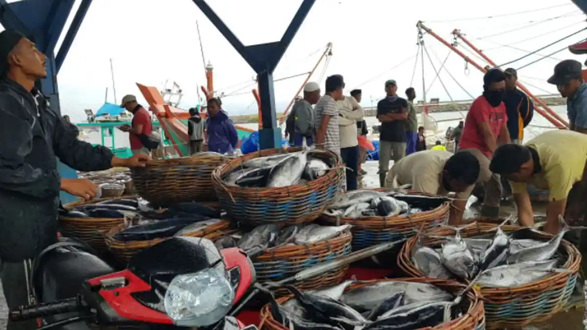 Ikan Tongkol Sumbang Inflasi di Aceh, Berikut Data Lengkap Inflasi dan Deflasi di Aceh