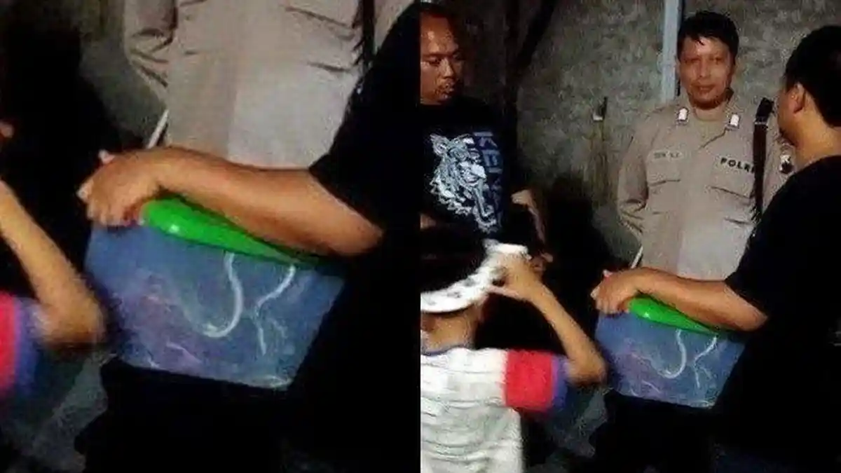 Dosen Dapat Teror Kiriman Misterius dalam Kotak, Saat Dibuka Isinya 12 Hewan Bikin Ngeri