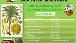 Harga-TBS-Nagan-Pekan-Ini.jpg