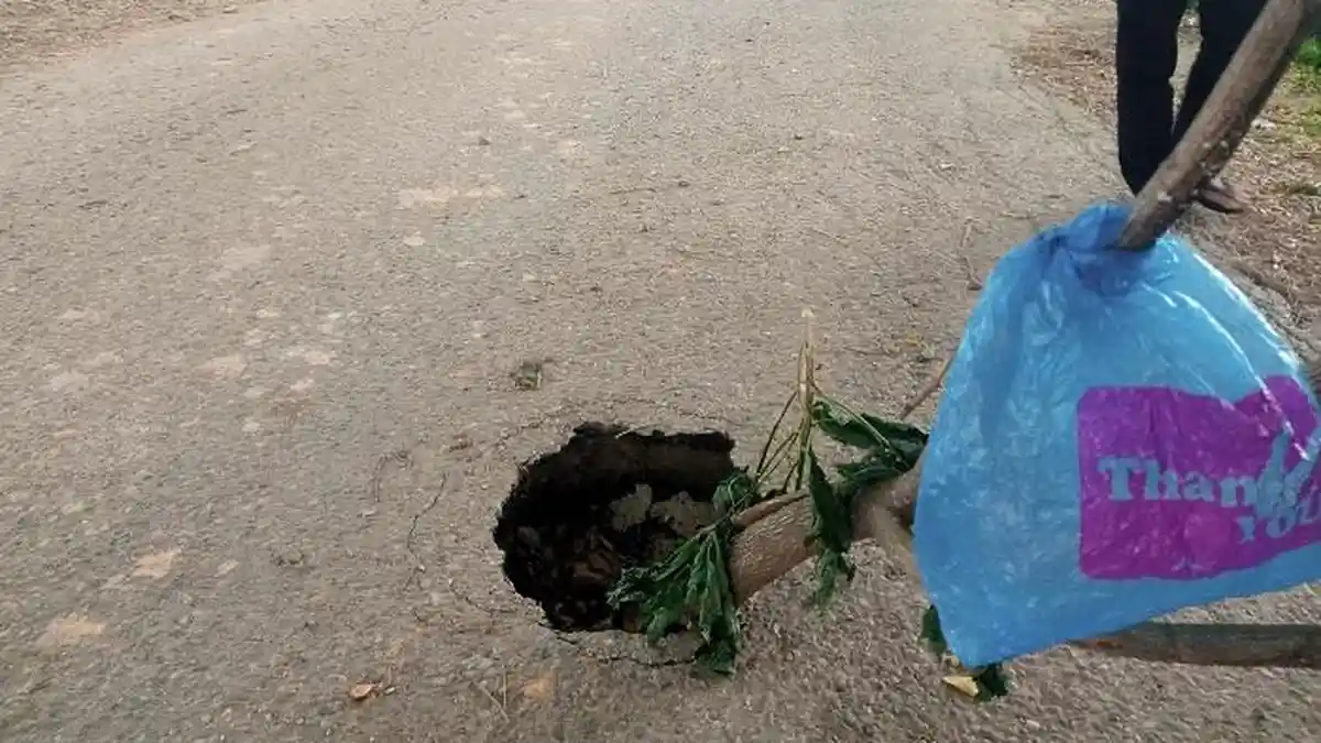 Kondisi Ruas Jalan di Kawasan Bukit Hijau Abdya Memprihatinkan 