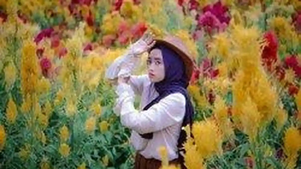 Taman Bunga Celosia Umbul Helau, Tempat Wisata Lampung Kedepankan Nilai Edukasi