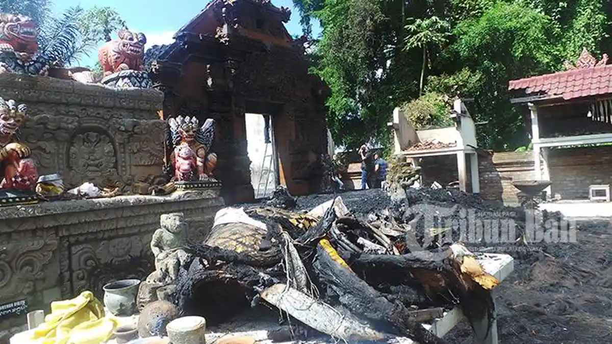 Ada Kalajengking Emas Bikin Geger Warga Pasca Kebakaran Pura Dalem Abiansemal