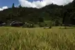 Etape 1 Tour De Singkarak 2013