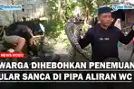 Warga-dihebohkan-Penemuan-Ular-Sanca-di-Pipa-Aliran-WCs.jpg