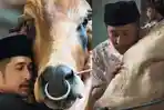 Kedekatan Irfan Hakim dan Sapi Miliknya Viral, Sudah Lama Dipelihara, Dikurbankan pada Idul Adha