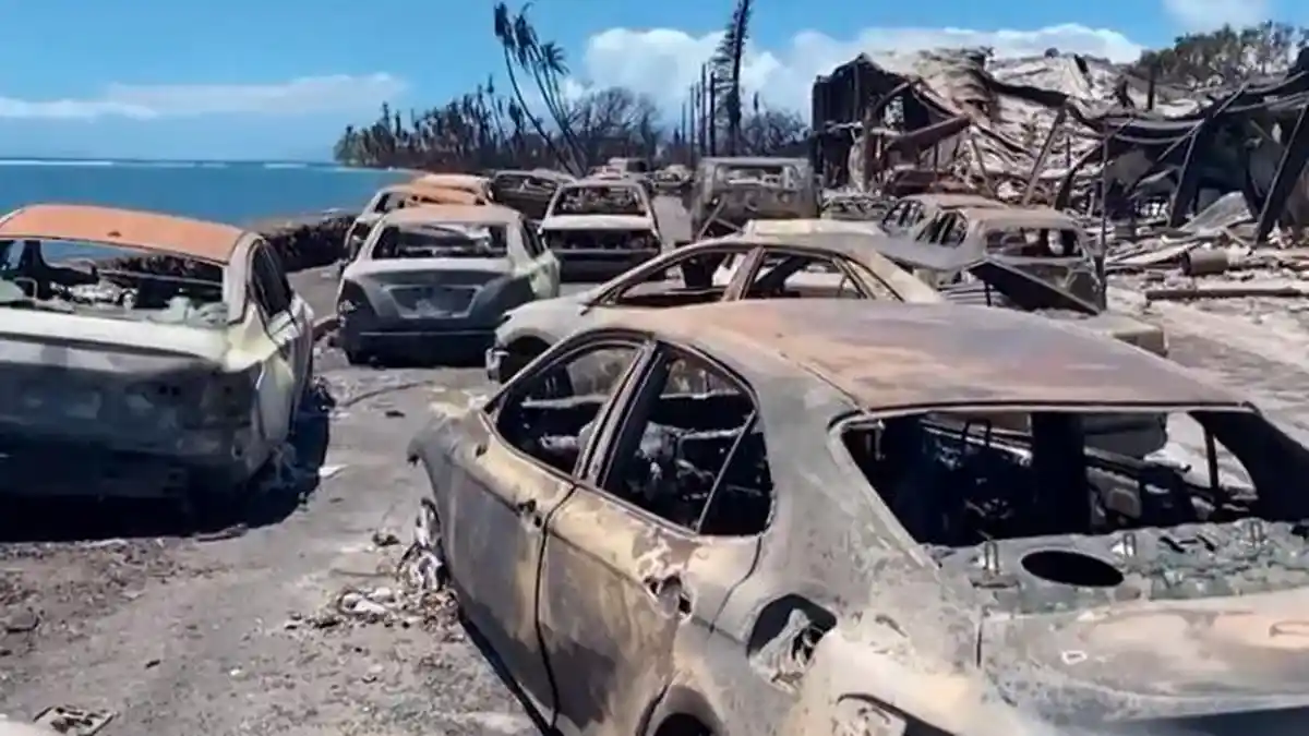 Kebakaran Hutan Maui Hawaii yang Dipicu Badai Dora Menewaskan Hampir 100 Orang