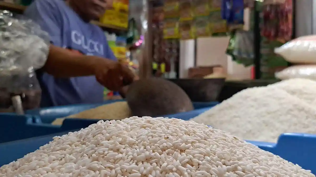 Warga Jepara Mulai Resah Kabar Maraknya Beras Oplosan, Kata Endang Rasa Nasinya Beda
