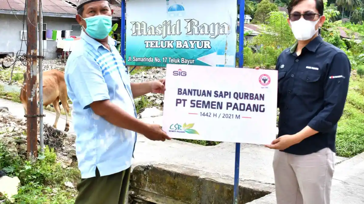 Idul Adha 1442 H, PT Semen Padang Salurkan Hewan Kurban