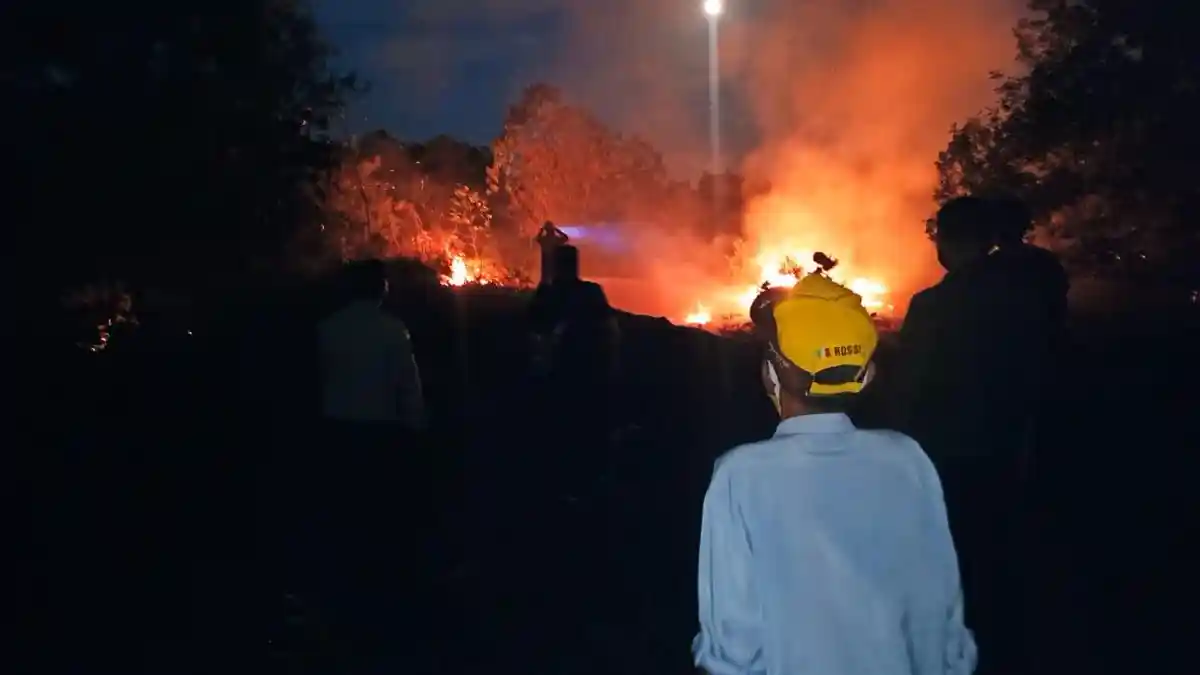 Kebakaran Lahan Pulau Bintan, Api Hanguskan 1 Hektare Lahan Sei Lekop