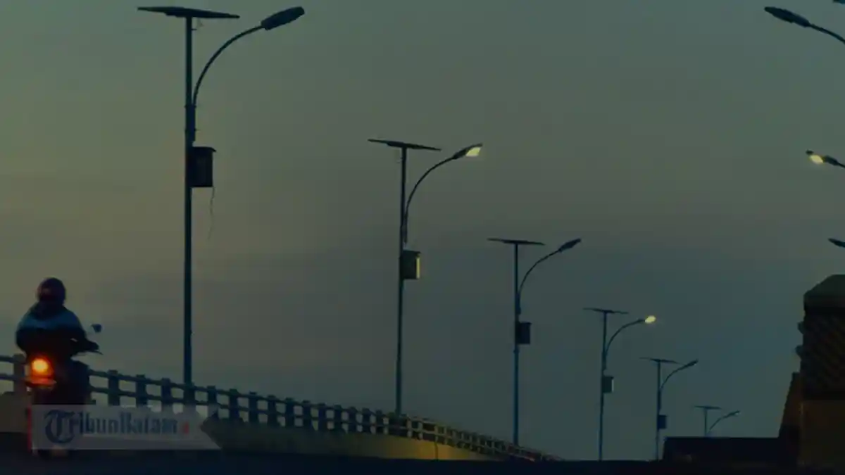 Banyak Lampu Jalan di Jalan Lintas Barat Bintan yang Tak Hidup, Ini Rencana Dinas Perkim