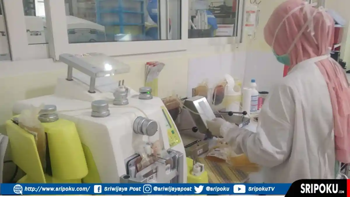 Kejar Sertifikasi CPOB, UTD PMI Palembang Jamin Kualitas Darah ke Pasien