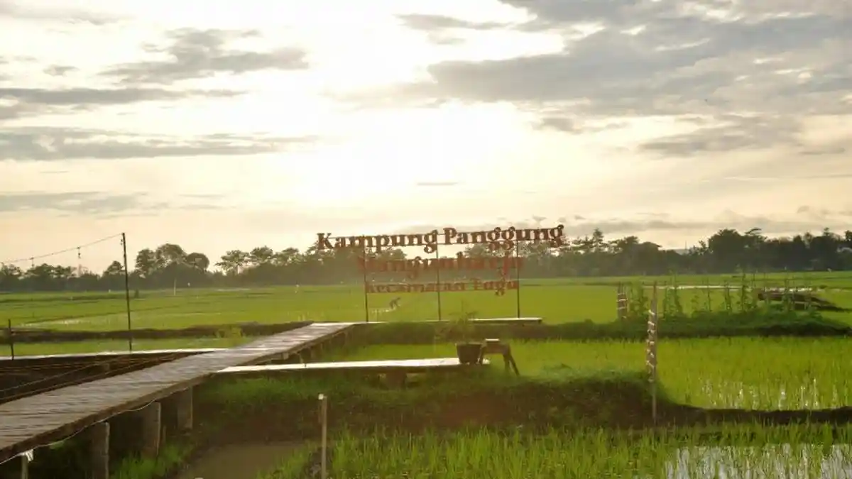 Dikembangkan di Semarang, Potensi Produksi Padi Biosalin Bisa Capai 126 Ton