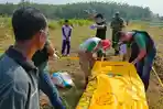 Nyawa Pria Tuban Melayang Usai Duel di Sawah