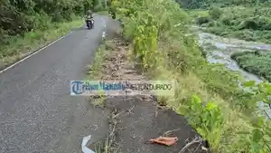JALAN-srgsgrts.jpg
