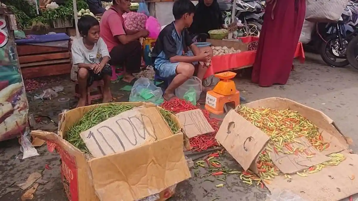 Update Harga Cabai di Pasar 26 Ilir Palembang Hari Ini 24 Januari 2023, Cabai Merah Harganya Turun