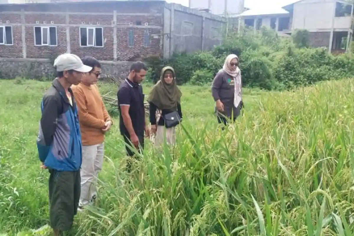 UNSOED DAMPINGI PETANI PEMULIA DUSUN SRIBIT WONOSOBO MURNIKAN VARIETAS LOKAL SRI KAWUNG