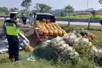 kondisi-mobil-pickup-muatan-sayur-terperosok-di-parit-tol-gempol.jpg
