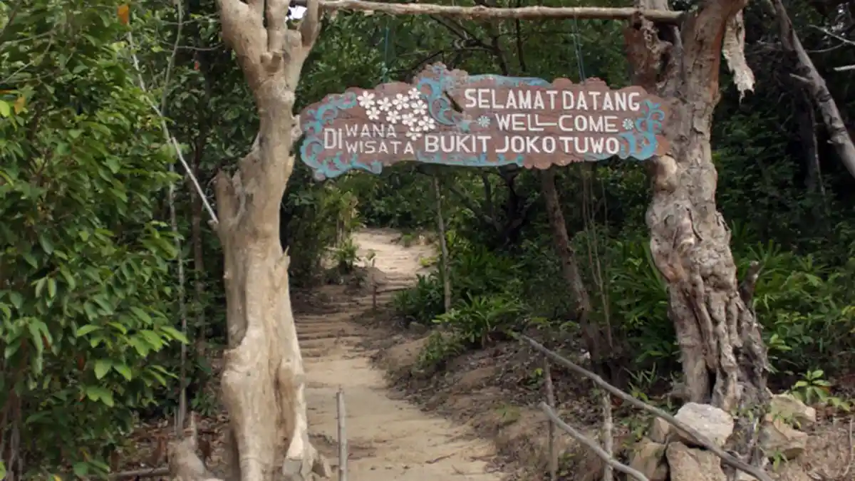 Bayar Rp 950 Ribu Sudah Bisa Happy-happy di Karimunjawa, Begini Caranya