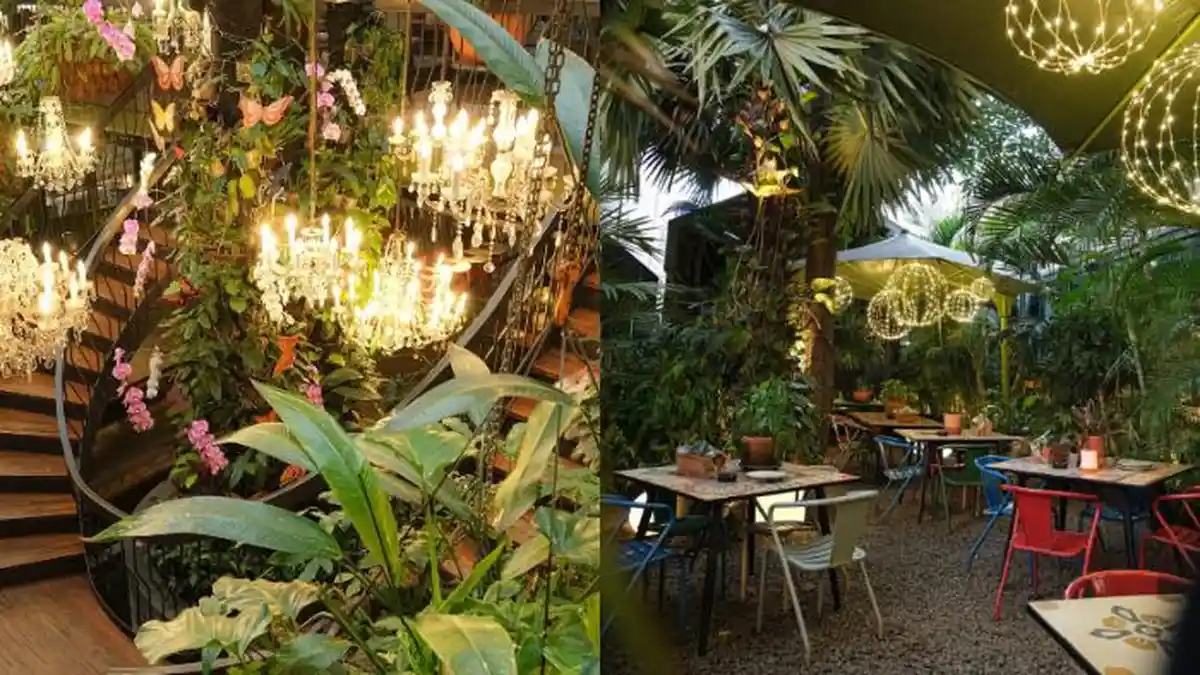 Serpong Utara Tangsel Ada Resto Secantik Ini, Bisa untuk Venue Nikah, 4 Menit dari Mall Alam Sutera