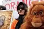 Desak Presiden Hentikan Pembantaian Orangutan