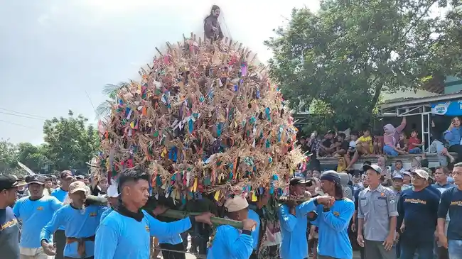 Tribun