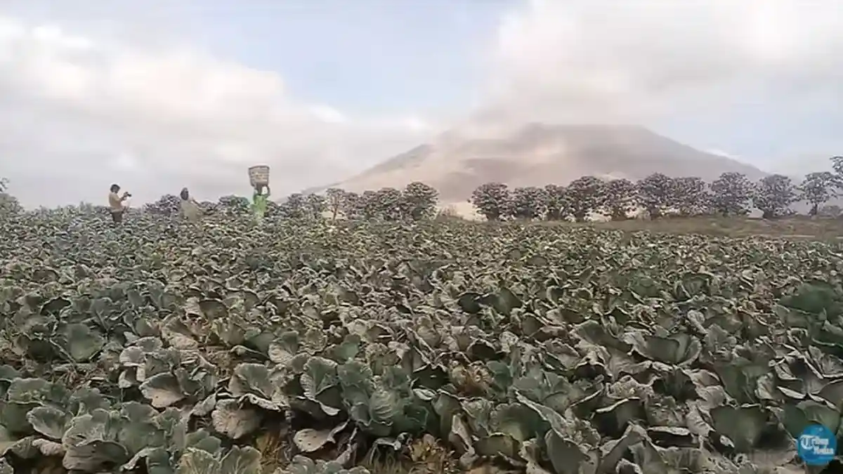 Lagi, Gunung Sinabung Erupsi Dibarengi Gempa