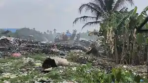 Tempat-pembuangan-akhir-TPA-liar-yang-berada-di-kawasan.jpg