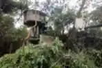 Bersih-bersih Bekas Penjara Kalisosok yang Sudah Seperti Hutan