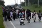 Mencari Status Pengungsi, Migran Berbaris Menuju AS