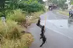 Jalan di Depan Rumah Dinas Wakil Bupati Empat Lawang Amblas, Pengendara Diminta Berhati-hati