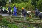 Dahan Pohon Patah Timpa Dua Warga Kota Batu, Begini Kondisi Mereka