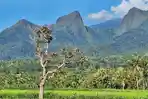 Antisipasi Pendakian Ilegal Gunung Piramid, Disparbudpora Bondowoso dan APGI Wacanakan Wisata Khusus