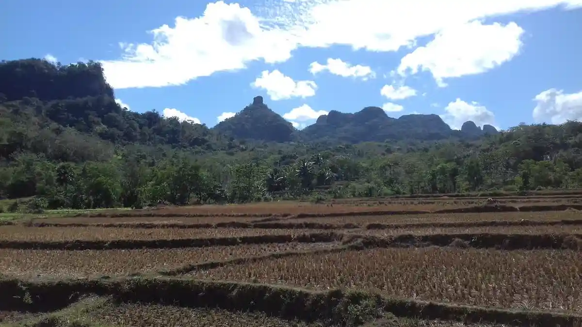 Gunung Payudara di Pangkep - gunung-payudara-di-pangkep_20160901_130636.jpg