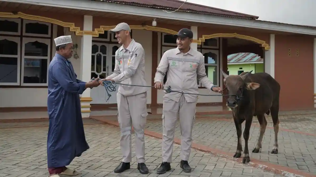 Tahun Ini Weda Bay Project Serahkan Lebih Banyak Sapi Kurban - Salah-satu-penyerahan-sapi-kurban-oleh-PT-IWIP-01.jpg