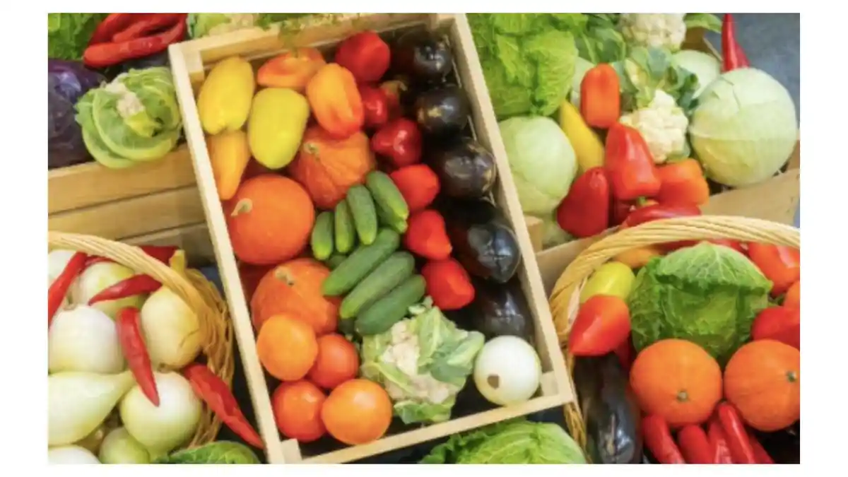 Studi Menghubungkan Diet Seimbang dengan Penuaan yang Lebih Lambat