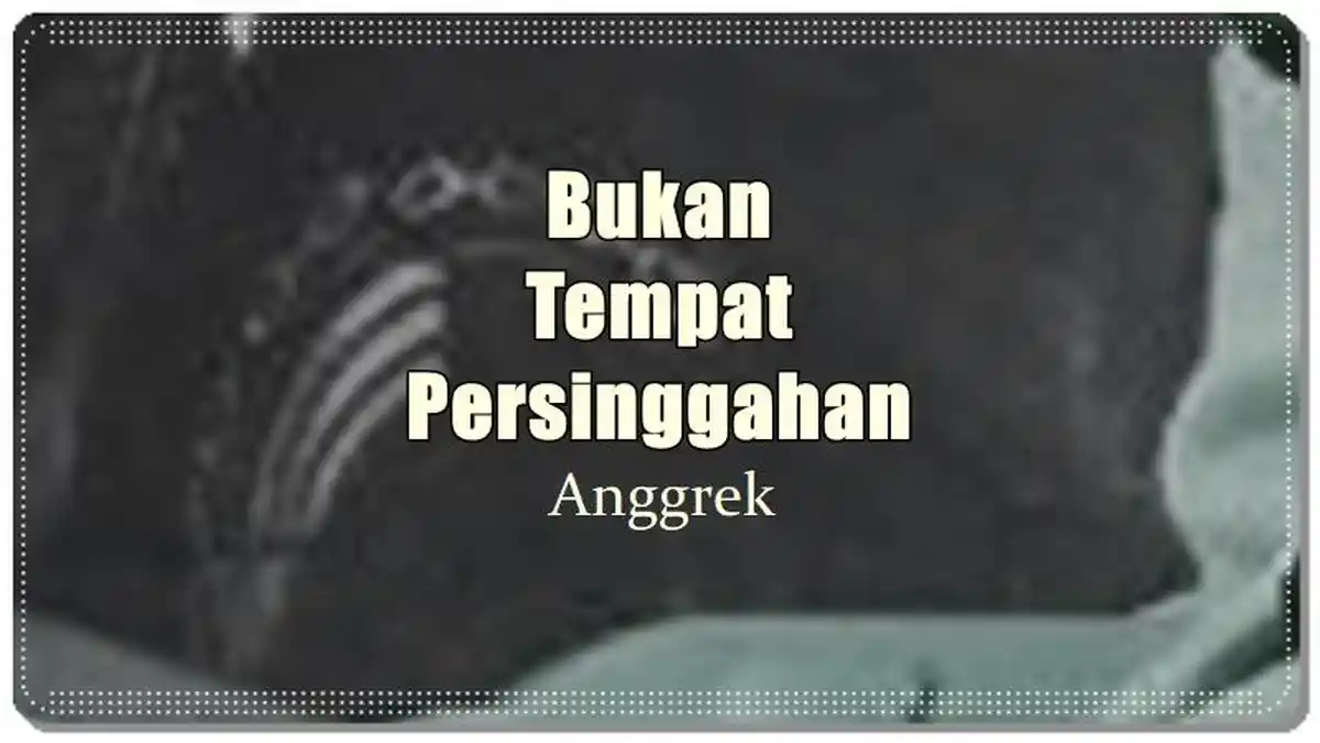 Lirik Lagu Bukan Tempat Persinggahan - Anggrek, Kejamnya Dirimu Sayang Cintaku Hanya Mainan
