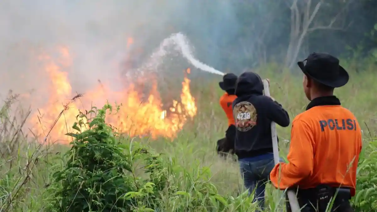 Wabup Mempawah Ajak Seluruh Lapisan Masyarakat Stop Bakar Hutan dan Lahan
