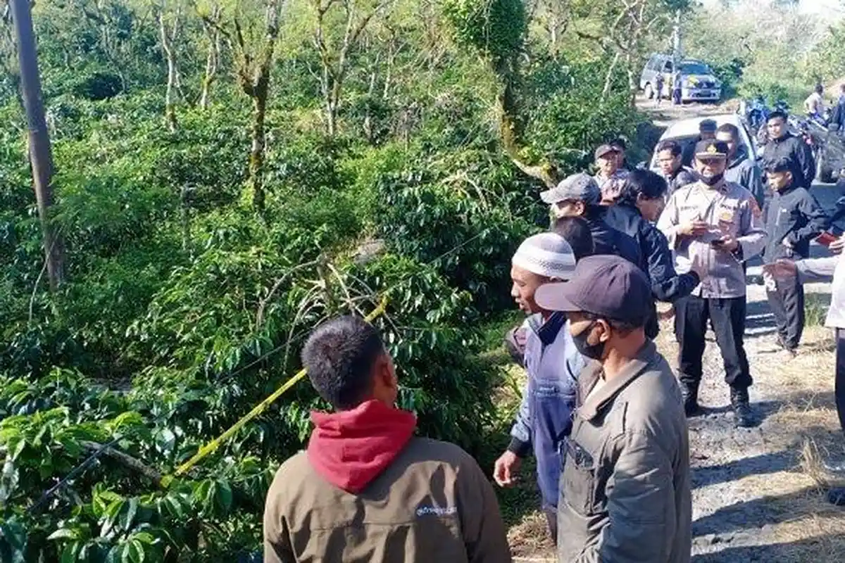Gadis Usia 16 Tahun Ditemukan di Kebun Kopi, Kondisinya Memprihatinkan, Pelaku Diduga Adik Kandung
