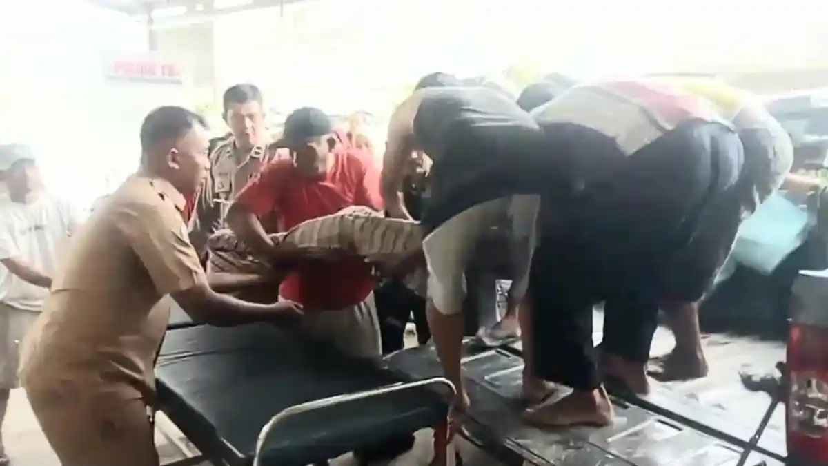 Polsek Semaka Tanggamus Identifikasi dan Evakuasi Kakek Tewas Diserang Buaya