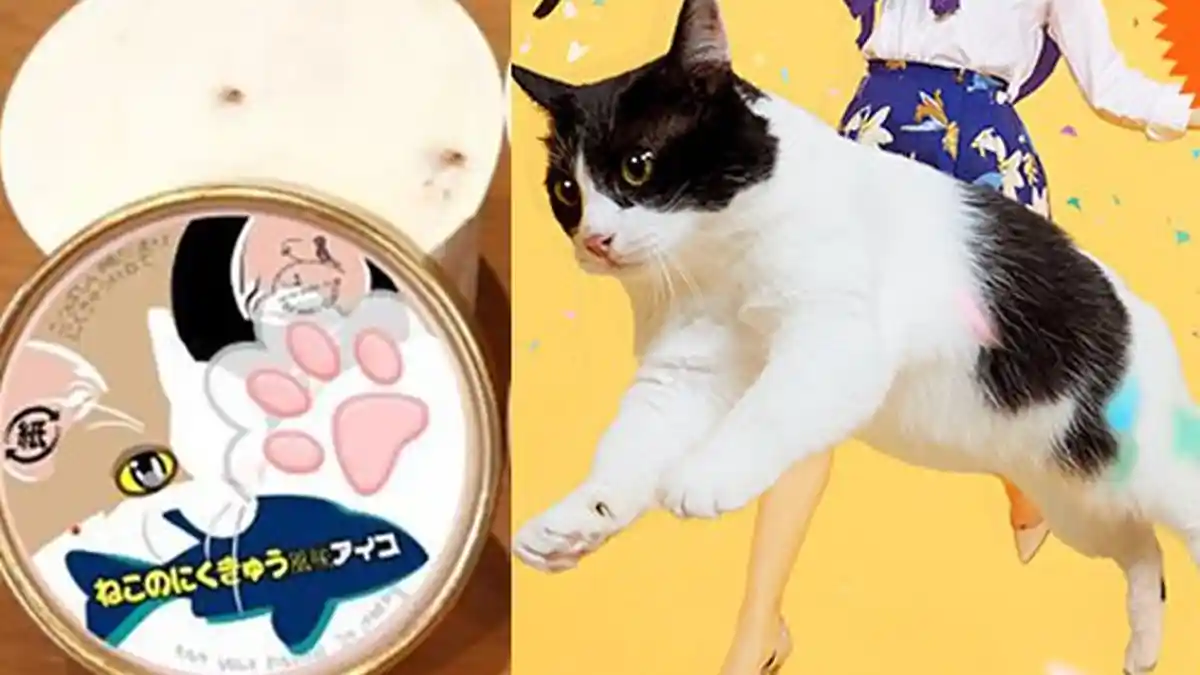 Busyet! Di Jepang Ada Es Krim Rasa Telapak Kaki Kucing dan Anjing, Minat Coba?