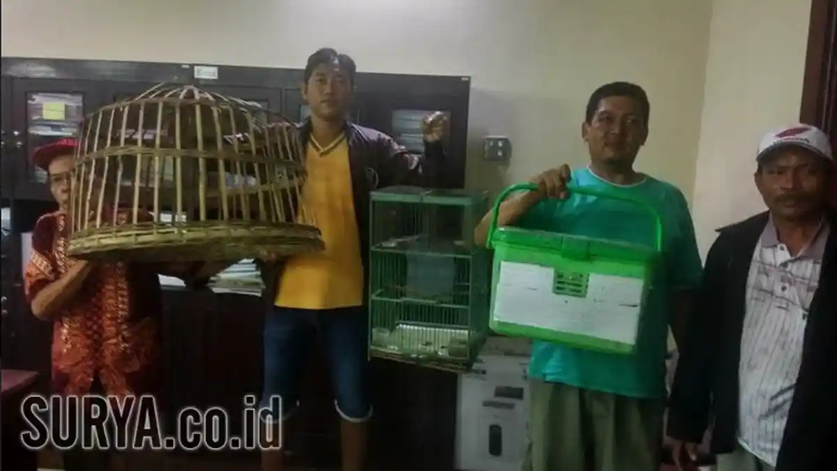 Kena Gusur Satpol PP Tanpa Solusi, Pedagang Pasar Burung Indrakila Wadul ke Dewan