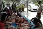 Peringati Idul Adha 1441 H, Muslim Musholla Nurussaadah Bulak Wareng Berkurban