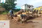Polhut Kalsel Amankan Kayu Tak Bertuan, Diduga Hasil Perambahan Hutan di Sungai Danau 
