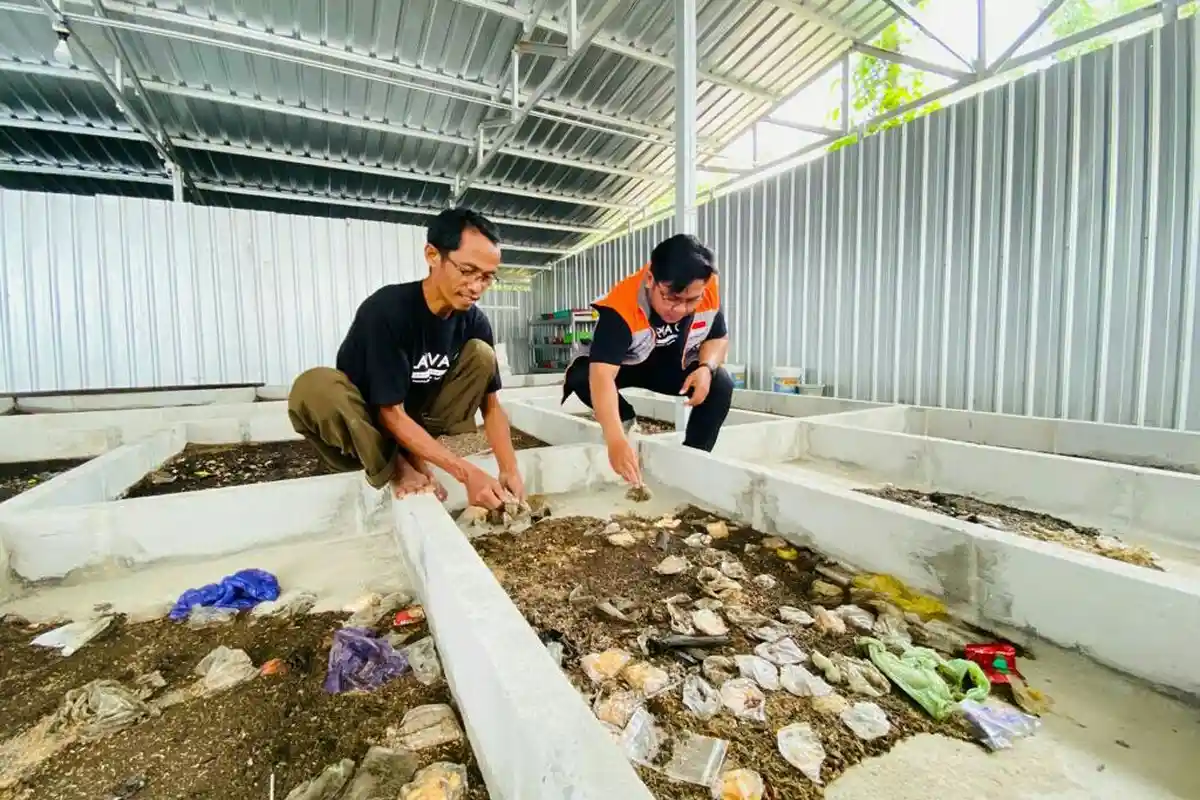 Minat Budidaya Maggot? Berikut Tips dan Beberapa Hal yang Perlu Disiapkan