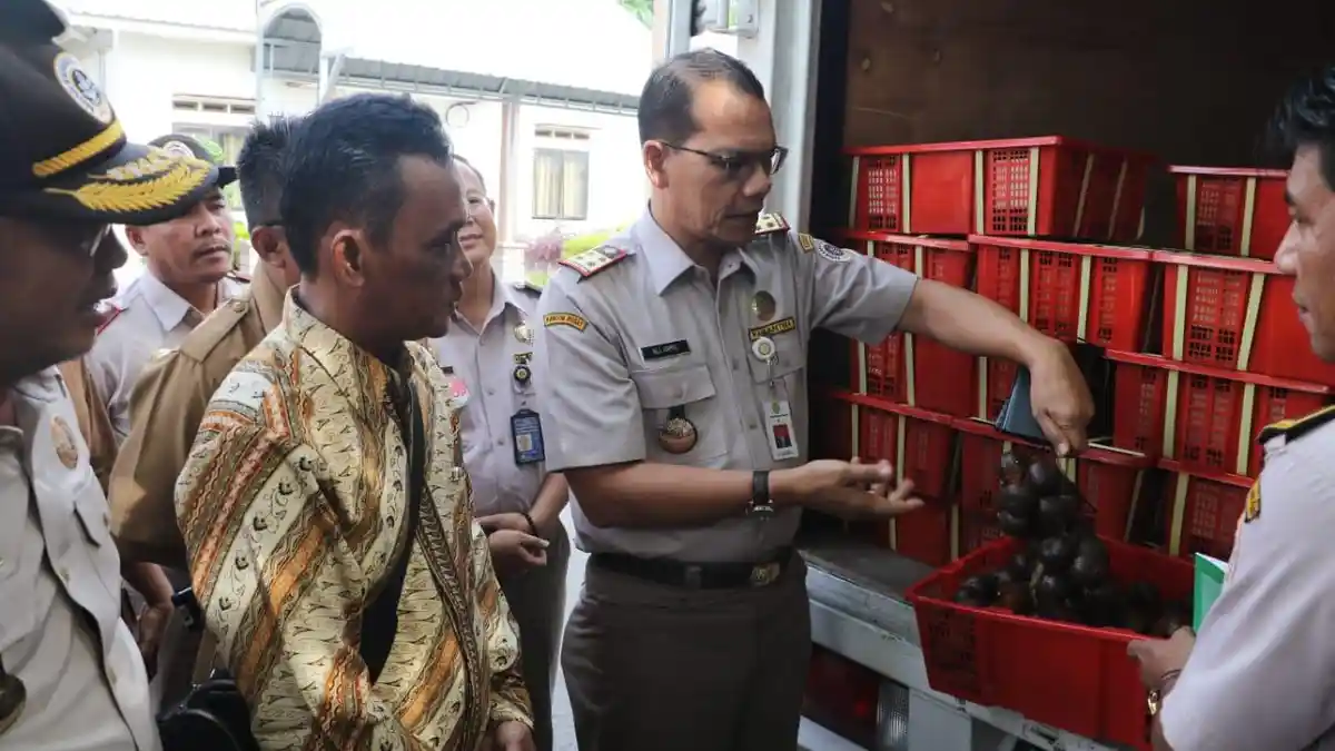 Salak Deli Serdang Rambah Pasar Ekspor