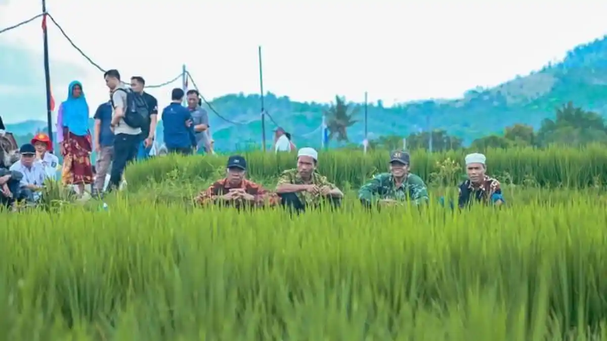 Cetak Rekor! Gubernur NTB Ungkap Nilai Tukar Petani Capai Angka Tertinggi di Akhir 2025