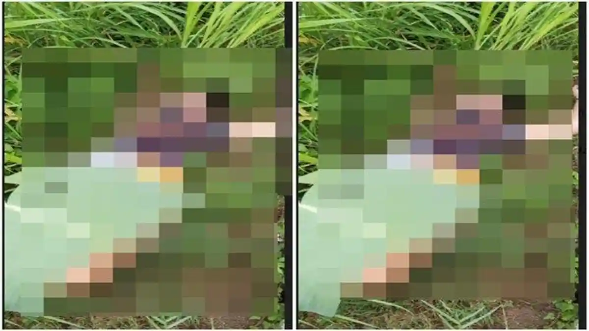Mayat Wanita Tergeletak di Semak-semak, Keluarga Malah Baru Tahu dari Media Sosial