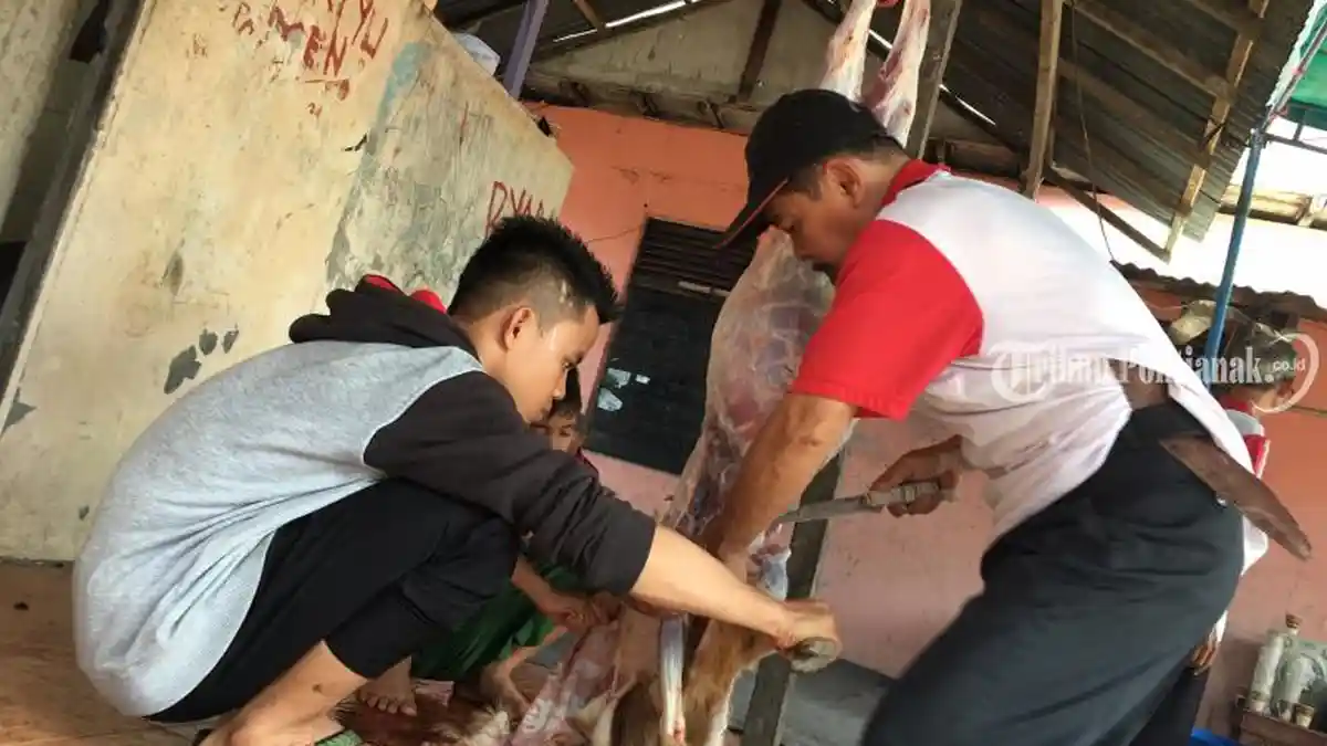FOTO: Panitia Hari Raya Sedang Motong Hewan Kurban di Panti Asuhan Tunas Melati Muhammadiyah - kurban-panti-asuhan3.jpg