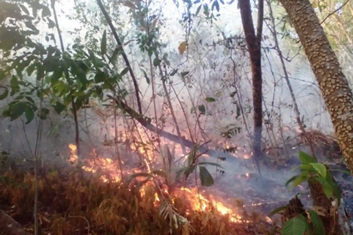 Api Besar Terlihat Sudah Capai Puncak Gunung Klabat