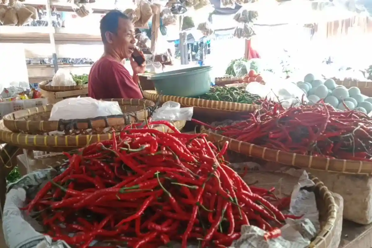 Komoditas di Pringsewu Mahal, Cabai Merah Tembus Rp 50 Ribu per Kg